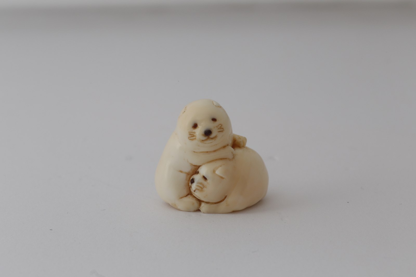 二匹の子犬