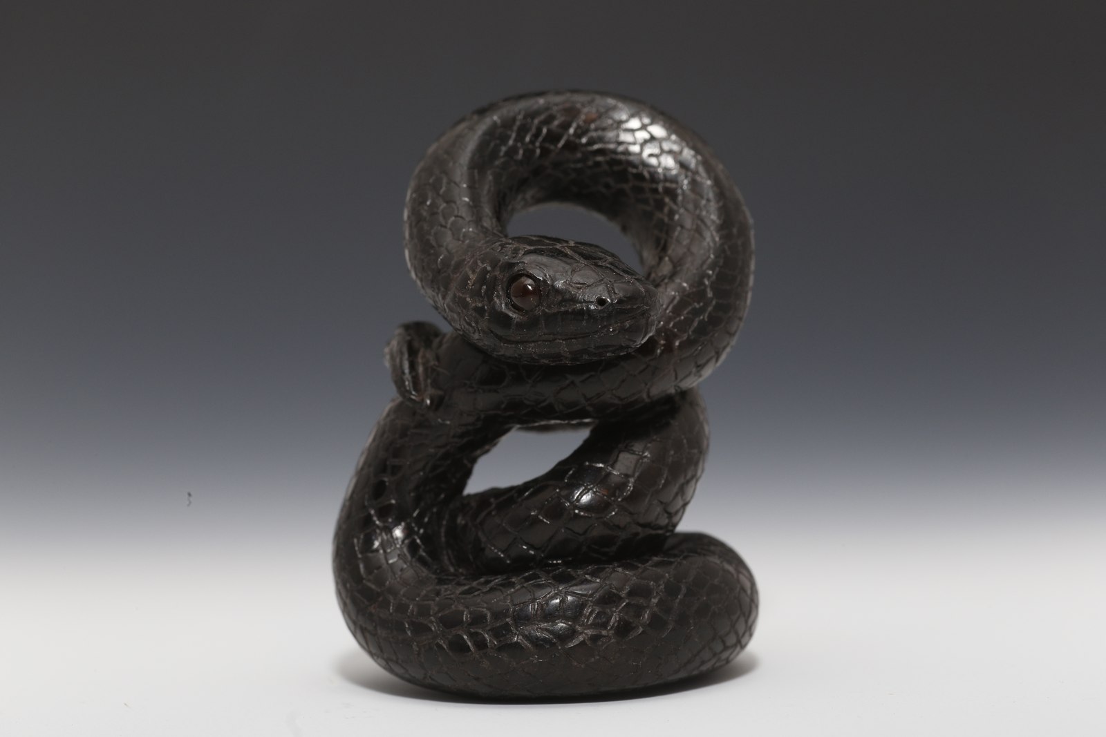 黒蛇